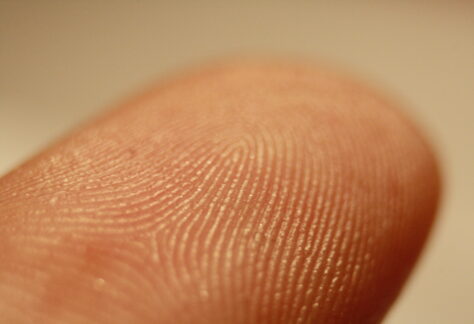 Fingerprint