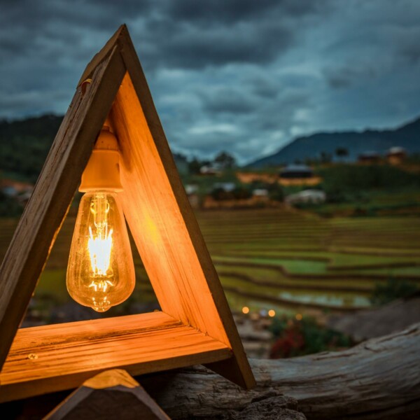 Close-up of a Light Bulb in a Wood